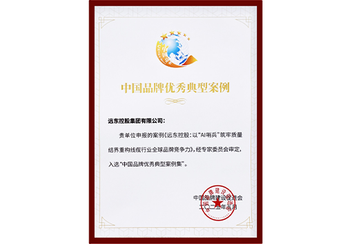 中國品牌優秀典型案例